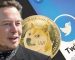 Elon Musk is called to join the Twitter board, what could this do to Doge? Elon Musk is called to join the Twitter board, what could this do to Doge?