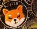 Shiba Inu to be used in buying Land: The SHIB Metaverse. Shiba Inu to be used in buying Land: The SHIB Metaverse.