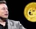 Dogecoin Co-Founder Makes Important Statement Dogecoin Co-Founder Makes Important Statement