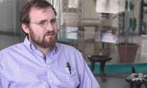 Charles Hoskinson Says Cardano Will Disclose “Amazing” Features of Input Endorsers Next Week