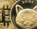 SHIB Wrapped on BNB Chain Can Now Be Used for Payments via This Company: Report SHIB Wrapped on BNB Chain Can Now Be Used for Payments via This Company: Report