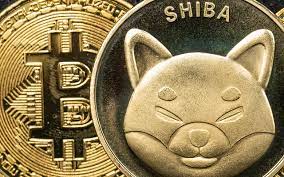 SHIB Wrapped on BNB Chain Can Now Be Used for Payments via This Company: Report