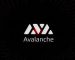 An A-Z Guide to the “Ethereum Killer” Called Avalanche An A-Z Guide to the “Ethereum Killer” Called Avalanche