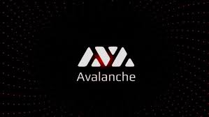 Avalanche (AVAX) Team Shows Reason Subnets Are Better Than Other Scalability Solutions