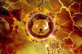 96 Million Shiba Inu Burnt In 24 Hours, 2.41 Billion in 7 Days: Contribution Details