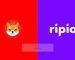 Ripio App Might Support Shiba Inu Soon and Vueling has partnered with BitPay and UATP to add support to Shib And Some Crypto Ripio App Might Support Shiba Inu Soon and Vueling has partnered with BitPay and UATP to add support to Shib And Some Crypto