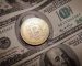 NAPP In Uzbekistan Made His Demands Known To Crypto Mining Operators NAPP In Uzbekistan Made His Demands Known To Crypto Mining Operators