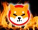 Shiba Inu’s Burn Rate Spikes By 1502% As Over 132 Million SHIB Is Burned In The Last 24 Hrs Shiba Inu’s Burn Rate Spikes By 1502% As Over 132 Million SHIB Is Burned In The Last 24 Hrs
