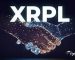 Over 395 Million XRP Was Transferred By Whales Between Exchanges Following The XRP Rallying Over 395 Million XRP Was Transferred By Whales Between Exchanges Following The XRP Rallying
