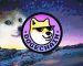 Dogechain Got More Coverage As Houbi Global Lists It Dogechain Got More Coverage As Houbi Global Lists It