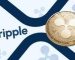 FOMO Pay To Use Ripple’s On-Demand Liquidity (ODL) Technology To Enhance Its Treasury Payments FOMO Pay To Use Ripple’s On-Demand Liquidity (ODL) Technology To Enhance Its Treasury Payments