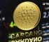 Cardano (ADA) Vasil Hardfork Details Displayed by Developer
