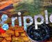 Record 512 Million XRP Shifted by Ripple and Unknown Wallets: Report Record 512 Million XRP Shifted by Ripple and Unknown Wallets: Report