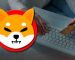 Shiba Inu Token (SHIB) Becomes One Of The Most Used Smart Contracts Among The 5,000 Largest Ethereum Whales Following The Announcement Of Shiba Eternity Shiba Inu Token (SHIB) Becomes One Of The Most Used Smart Contracts Among The 5,000 Largest Ethereum Whales Following The Announcement Of Shiba Eternity