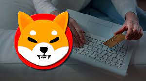 SHIB Holding By The ETH Whales Hits 580% And Places The Token Ahead All Other tokens Except ETH