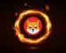 Shiba Inu’s Average Balance Rose By 18% As whales Accumulate And Over 69M SHIB tokens were burnt Over the last 24 hours. Shiba Inu’s Average Balance Rose By 18% As whales Accumulate And Over 69M SHIB tokens were burnt Over the last 24 hours.