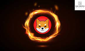 Bittrex, A Top U.S Crypto Exchange Officially Lists Shiba Inu