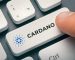 WingRider, a Decentralized Exchange Built On The Cardano Blockchain Network Now Partners With AADA Finance: See The Detail WingRider, a Decentralized Exchange Built On The Cardano Blockchain Network Now Partners With AADA Finance: See The Detail
