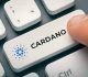 WingRider, a Decentralized Exchange Built On The Cardano Blockchain Network Now Partners With AADA Finance: See The Detail