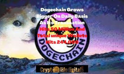 Dogechain Grows Bigger As Its Transaction Hits 50 Million And Total Unique Wallets Hits 244,000