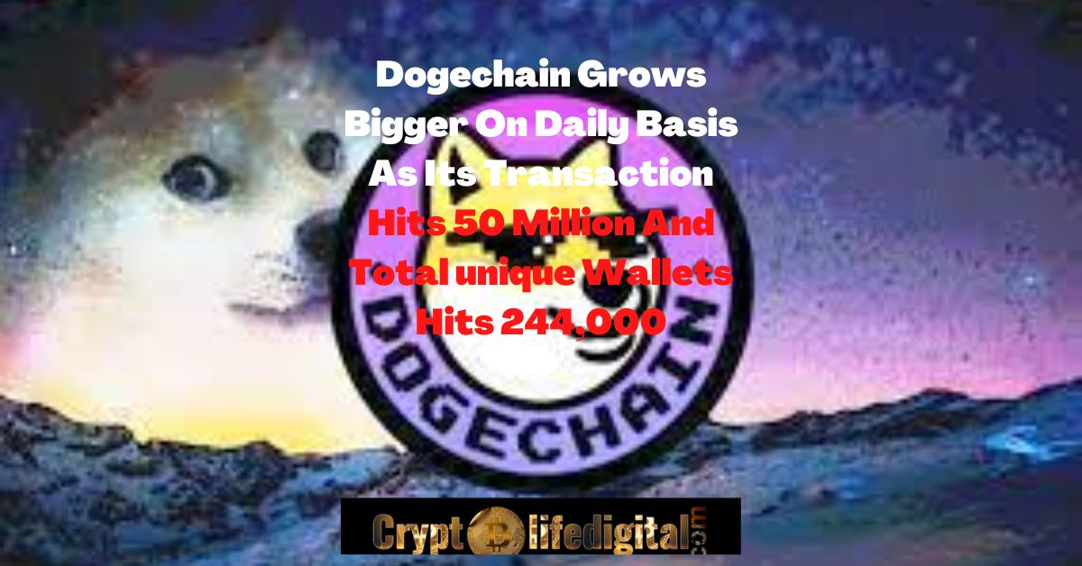 https://backup.cryptolifedigital.com/wp-content/uploads/2022/10/Dogechain-Grows-Bigger-On-Daily-Basis-As-Its-Transaction-Hits-50-Million-And-Total-unique-Wallets-Hits-244000.jpg