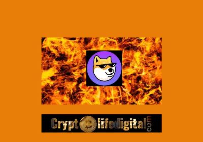 Dogechain Initiates The Burn Of 800 Billion DC As Proposed