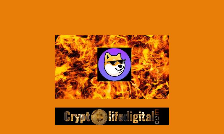 https://backup.cryptolifedigital.com/wp-content/uploads/2022/10/Dogechain-Initiates-The-Burn-Of-800-Billion-DC-As-Proposed.jpg