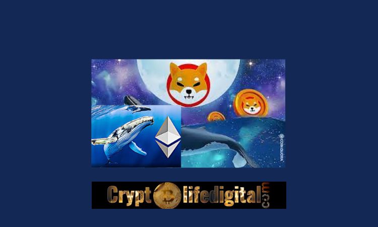 https://backup.cryptolifedigital.com/wp-content/uploads/2022/10/ETH-Biggest-Whale-Transfers-A-Whopping-150-Million-SHIB-To-CryptoCom.jpg