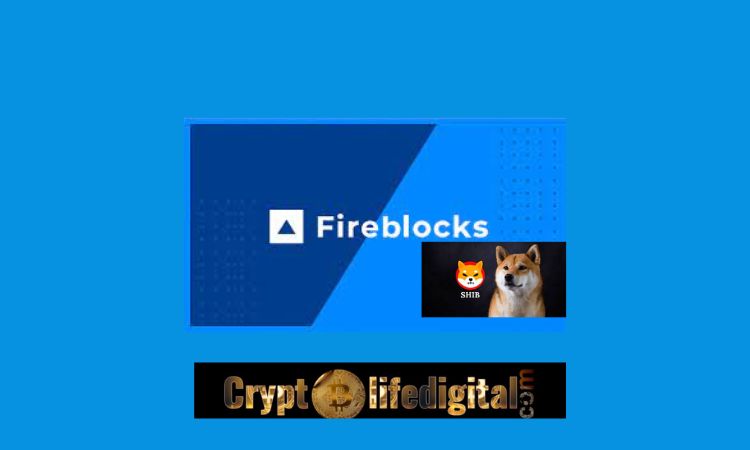 https://backup.cryptolifedigital.com/wp-content/uploads/2022/10/Fireblocks-Crypto-Payments-Engine-Adds-Support-For-Shiba-Inu-Tokens.jpg