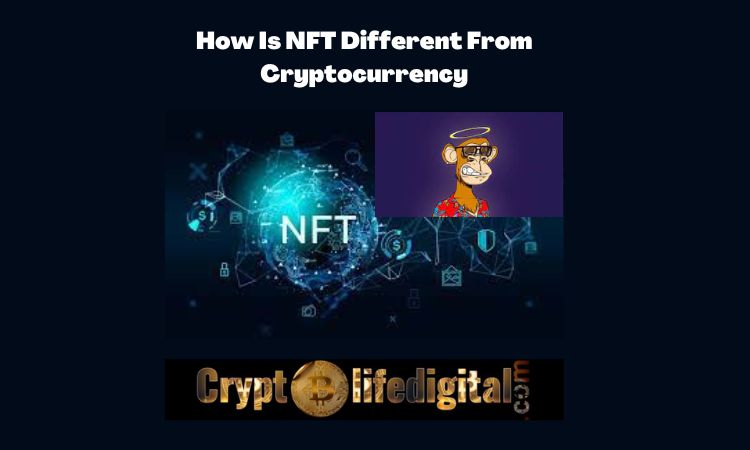https://backup.cryptolifedigital.com/wp-content/uploads/2022/10/How-Is-NFT-Different-From-Cryptocurrency.jpg