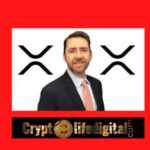 https://backup.cryptolifedigital.com/wp-content/uploads/2022/10/Importance-of-Amicus-Briefs.jpg