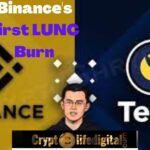 https://backup.cryptolifedigital.com/wp-content/uploads/2022/10/LUNC-Burn.jpg