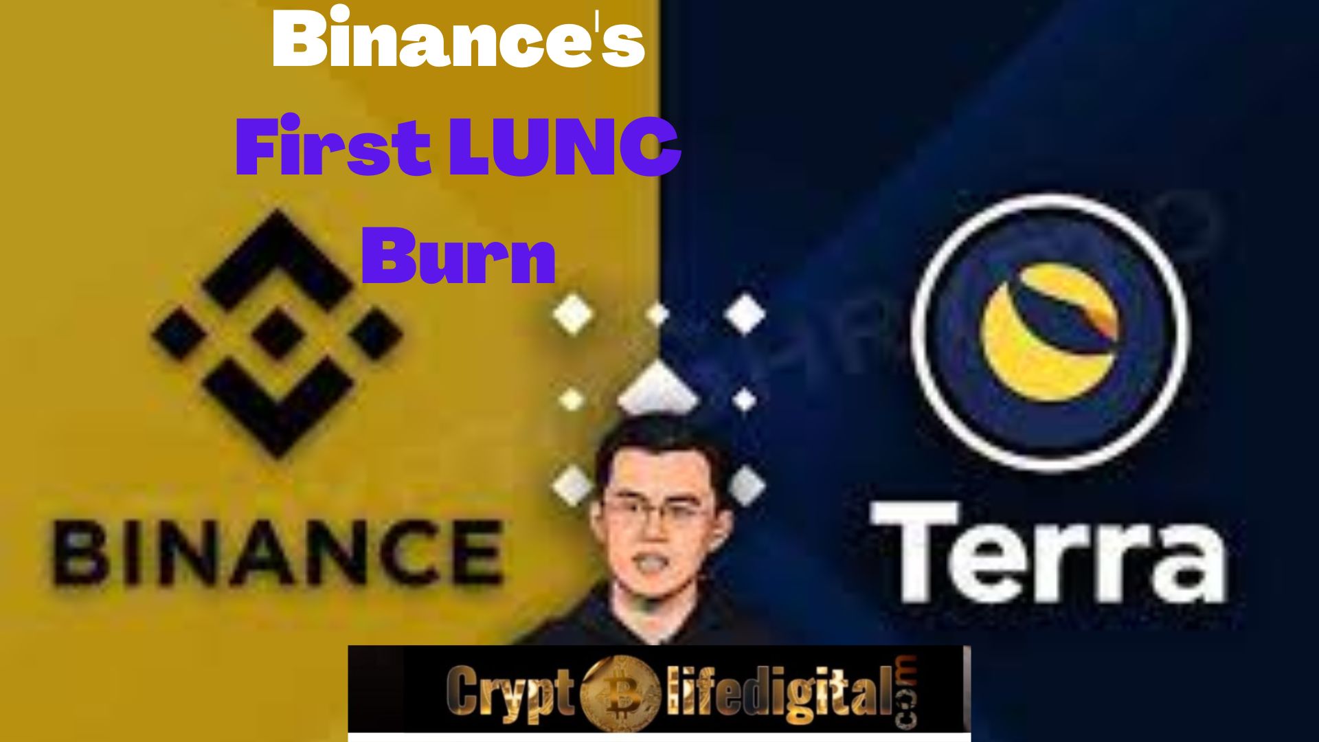https://backup.cryptolifedigital.com/wp-content/uploads/2022/10/LUNC-Burn.jpg