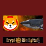 https://backup.cryptolifedigital.com/wp-content/uploads/2022/10/New-Whale-Purchases-A-Whopping-3.369T-SHIB.jpg