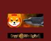 New Whale Purchases A Whopping 3.369T SHIB, Worth $40.80M As Trade Volume Goes Beyond One Billion New Whale Purchases A Whopping 3.369T SHIB, Worth $40.80M As Trade Volume Goes Beyond One Billion