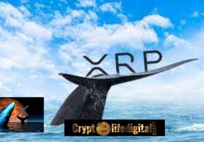 Ripple Transfers A whopping 75 Million XRP To Unknown Wallet coins, Whales Investors Re-shuffle 158.7 Million XRP