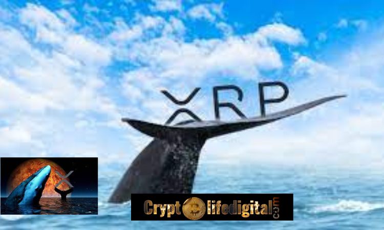 https://backup.cryptolifedigital.com/wp-content/uploads/2022/10/Ripple-Transfers-A-whopping-75-Million-XRP-To-Unknown-Wallet-coins-Whales-Investors-Re-shuffle-158.7-Million-XRP.jpg