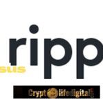 https://backup.cryptolifedigital.com/wp-content/uploads/2022/10/Ripple-Versus-Thallo.jpg