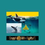 https://backup.cryptolifedigital.com/wp-content/uploads/2022/10/Ripple-Whales-Move-A-massive-340.8-Million-XRP-Although-Its-Price-Still-Experiences-Struggle.jpg