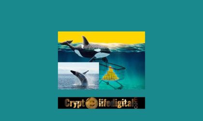 Ripple Whales Move A massive 340.8 Million XRP, Although Its Price Still Experiences Struggle