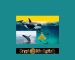 Ripple Whales Move A massive 340.8 Million XRP, Although Its Price Still Experiences Struggle Ripple Whales Move A massive 340.8 Million XRP, Although Its Price Still Experiences Struggle