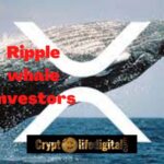 https://backup.cryptolifedigital.com/wp-content/uploads/2022/10/Ripple-whale-Investors.jpg