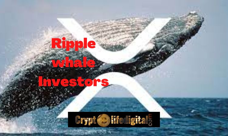 https://backup.cryptolifedigital.com/wp-content/uploads/2022/10/Ripple-whale-Investors.jpg