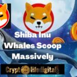 https://backup.cryptolifedigital.com/wp-content/uploads/2022/10/Shiba-Inu-Whales-Scoop-Massively-1.jpg