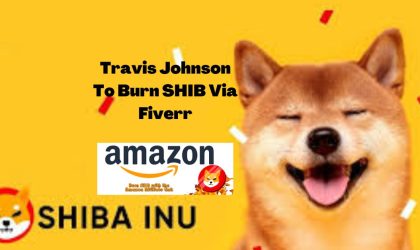 SHIB Super Store Introduces Another Way Of Burning SHIB, SHIB Burns Via Fiverr
