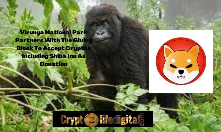 https://backup.cryptolifedigital.com/wp-content/uploads/2022/10/Virunga-National-Park-Partners-With-The-Giving-Block-To-Accept-Cryptos-Including-Shiba-Inu-As-Donation.jpg
