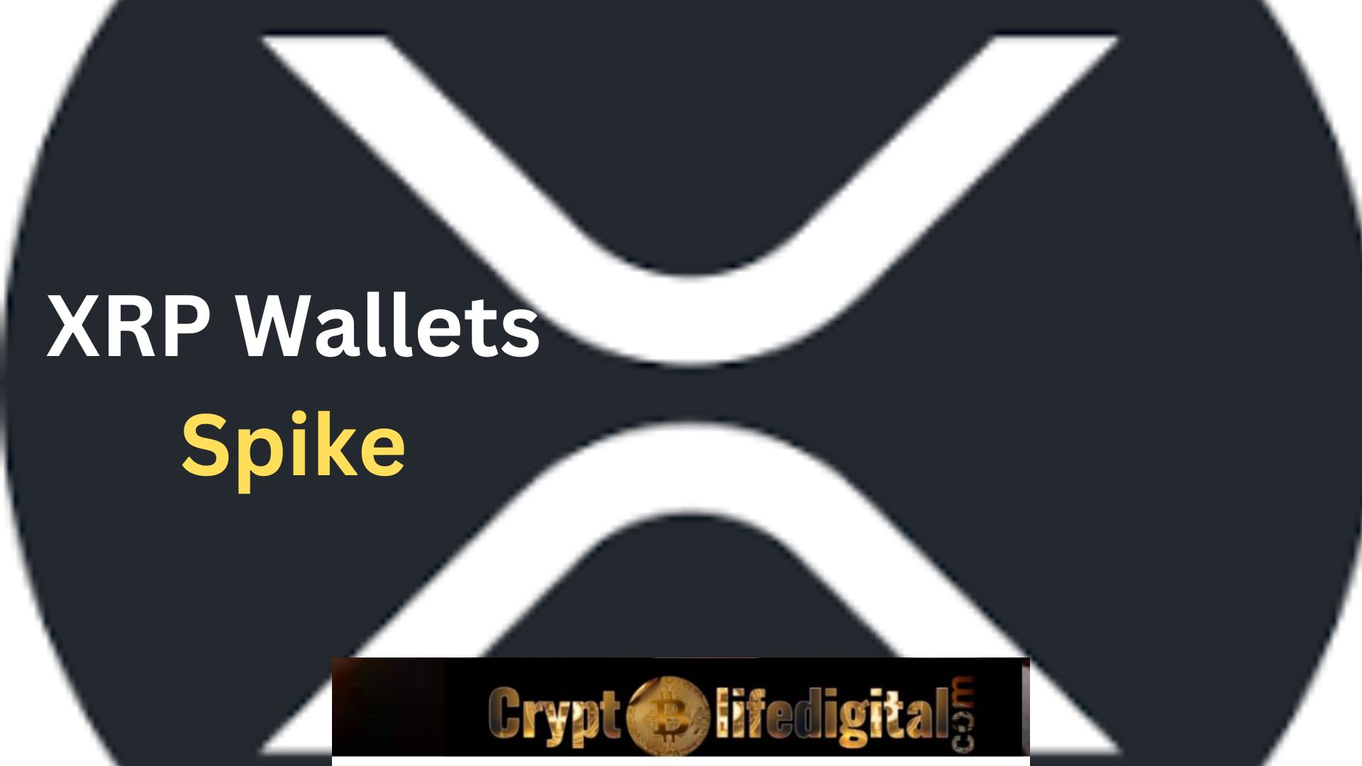 https://backup.cryptolifedigital.com/wp-content/uploads/2022/10/XRP-Wallets-Spike.jpg