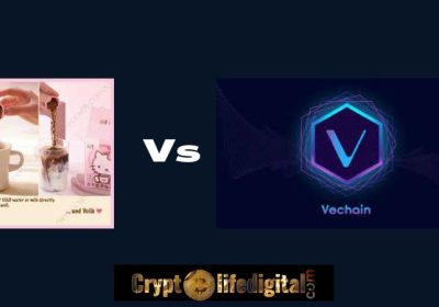 Yongpu, A Chinese Brand Coffee Industry Selects VeChain Blockchain For Commodity Traceability And Transparency