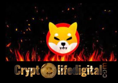 1CENT, One Of The Community-led Initiatives, Burns Almost 21,000,000 SHIB In One Transaction Over The Past 24 Hours
