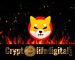 1CENT, One Of The Community-led Initiatives, Burns Almost 21,000,000 SHIB In One Transaction Over The Past 24 Hours 1CENT, One Of The Community-led Initiatives, Burns Almost 21,000,000 SHIB In One Transaction Over The Past 24 Hours